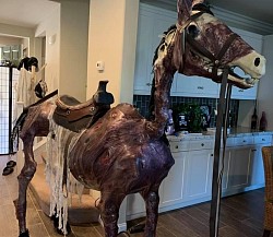 Corpsified horse Halloween prop