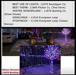 Winter wonderland Christmas award